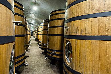 卡普空将《鬼泣5》销量突破千万归功于动画剧集热播